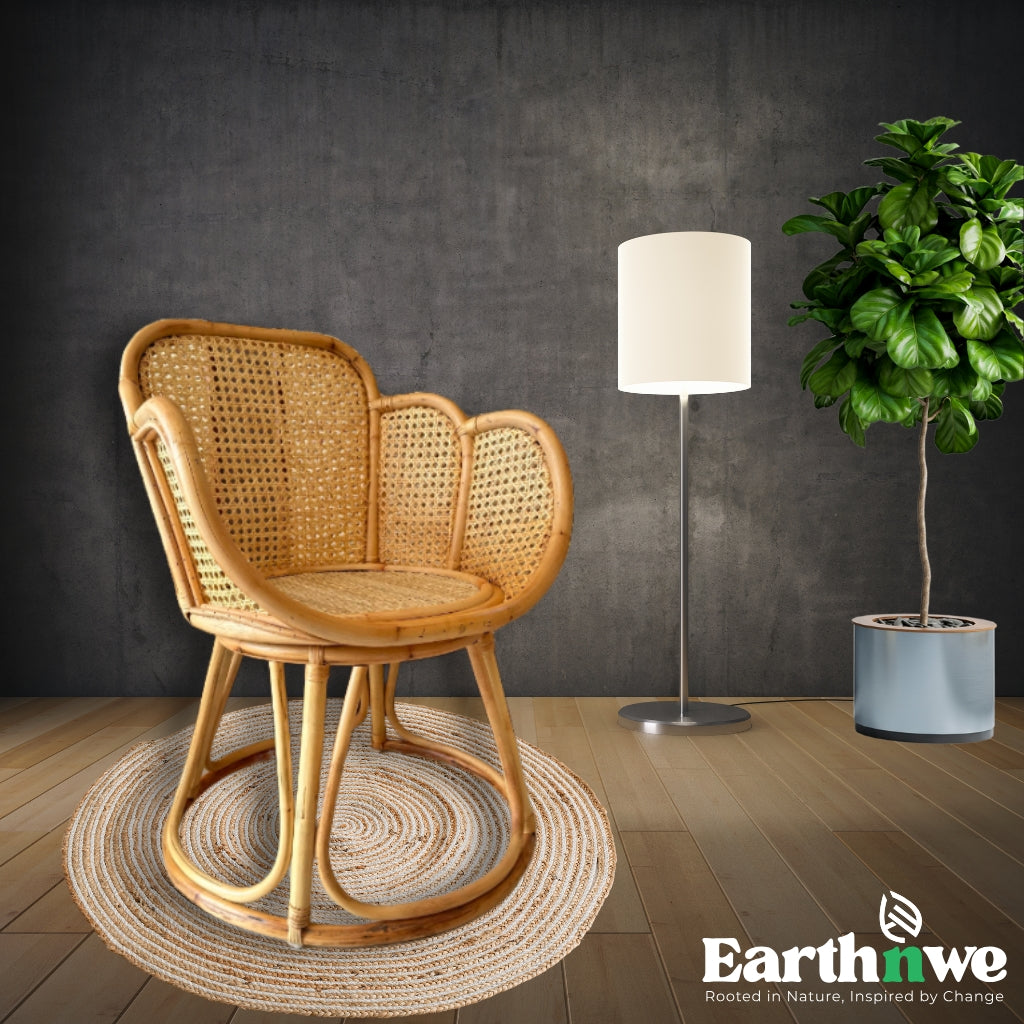 Modern chair with rattan perch design