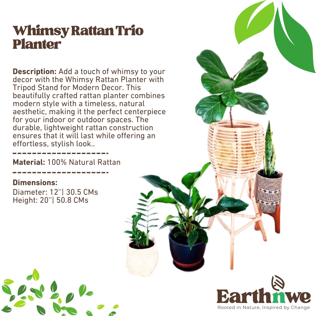 Whimsy rattan planter with tripod stand