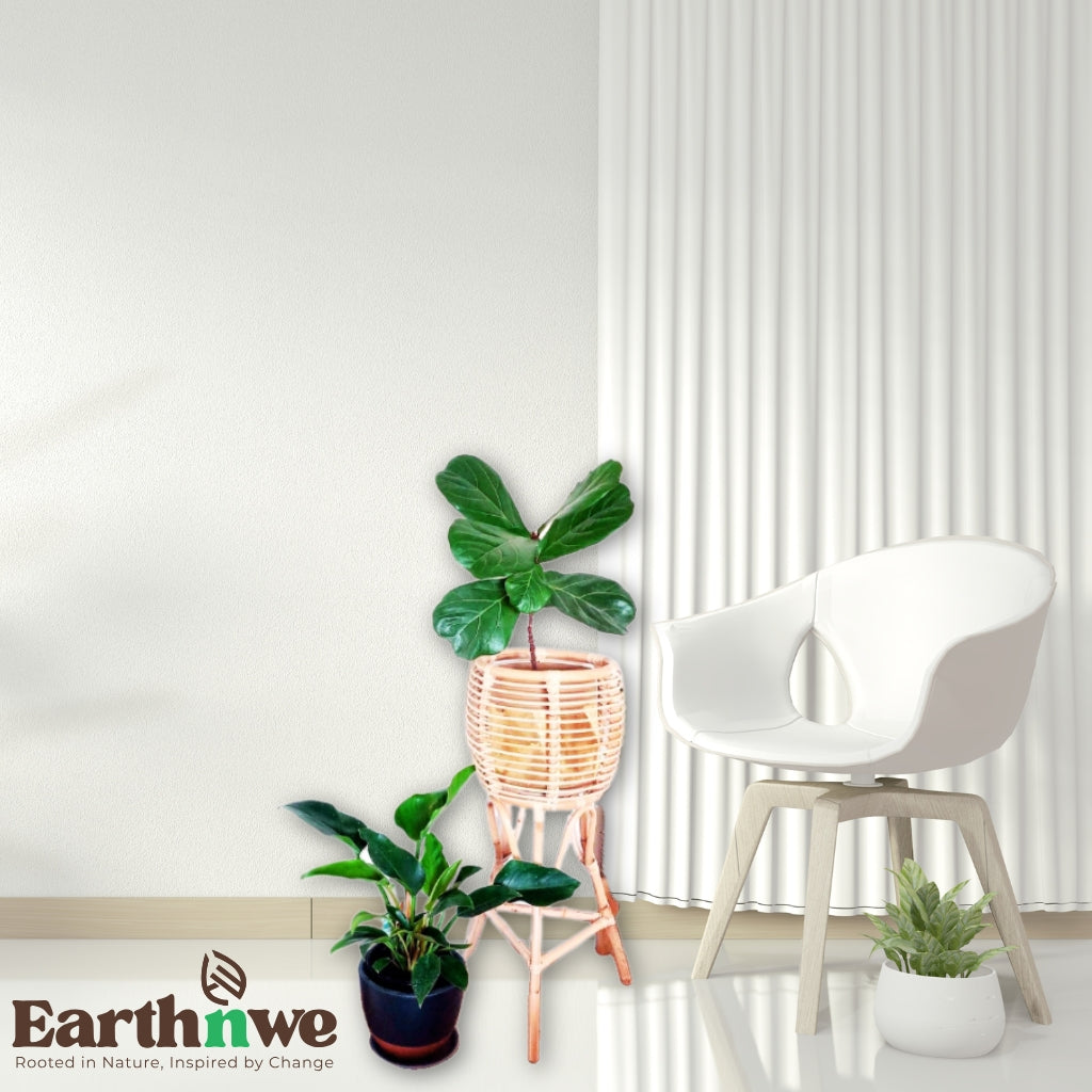 Whimsy rattan planter with tripod stand