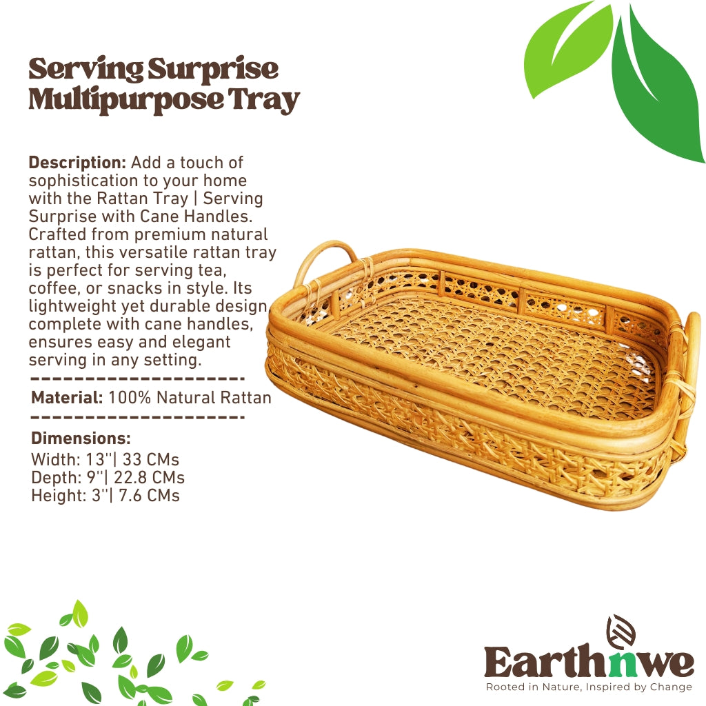 Natural rattan tray with cane handles